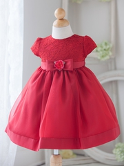 Why Dresses For Baby Girls Succeeds